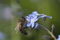 Cjp_2008_04_27_094810 (2).jpg
